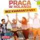 Zobacz ogoszenie